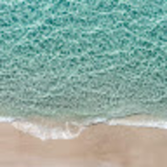 Meet your Posher, Shellie - Picture 1 of 1